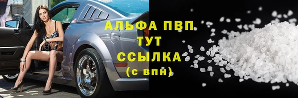 шишки Дмитров