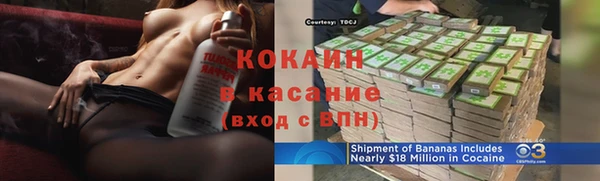 шишки Дмитров