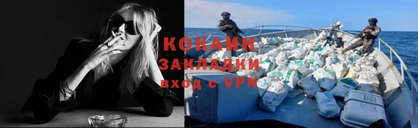 шишки Дмитров