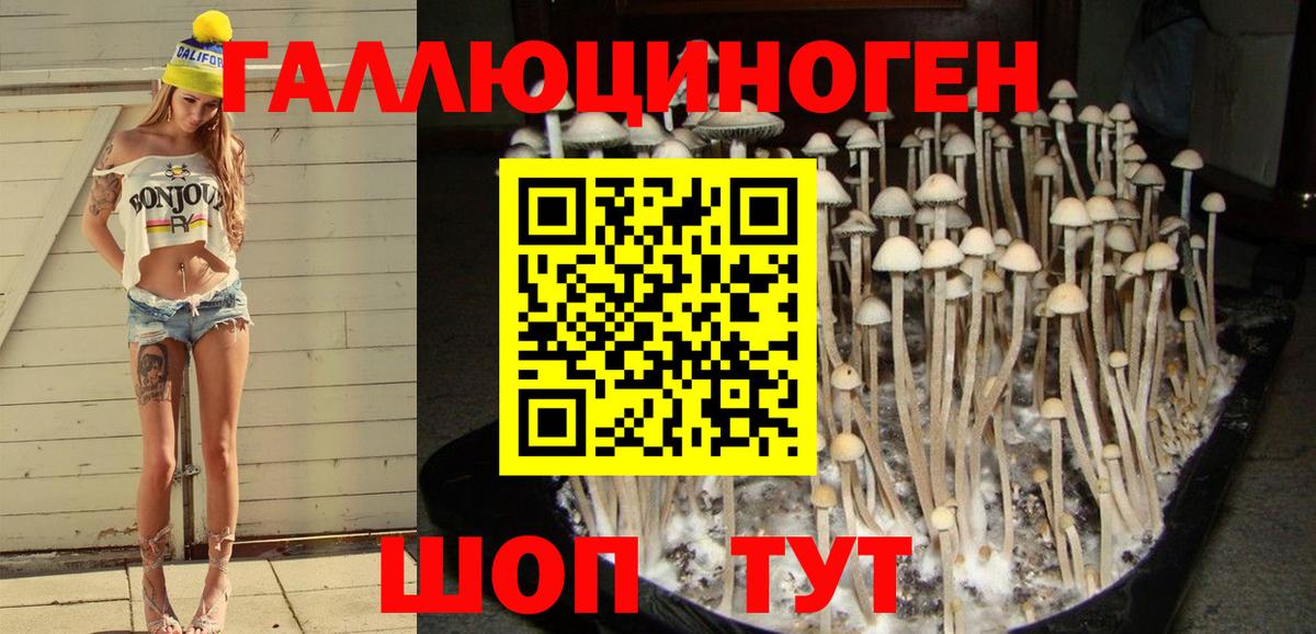 Галлюциногенные грибы ЛСД Ишим